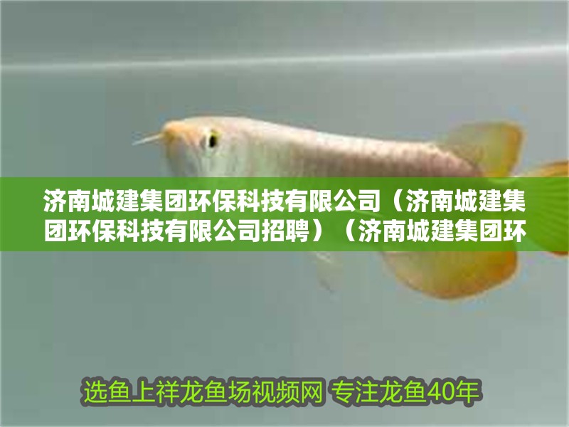 濟南城建集團環保科技有限公司（濟南城建集團環保科技有限公司招聘）（濟南城建集團環保科技有限公司）