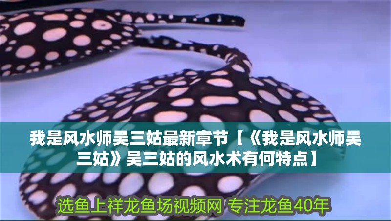 我是風水師吳三姑最新章節【《我是風水師吳三姑》吳三姑的風水術有何特點】