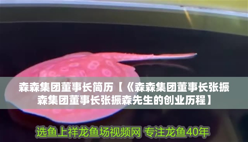 森森集團(tuán)董事長(zhǎng)簡(jiǎn)歷【《森森集團(tuán)董事長(zhǎng)張振森集團(tuán)董事長(zhǎng)張振森先生的創(chuàng)業(yè)歷程】