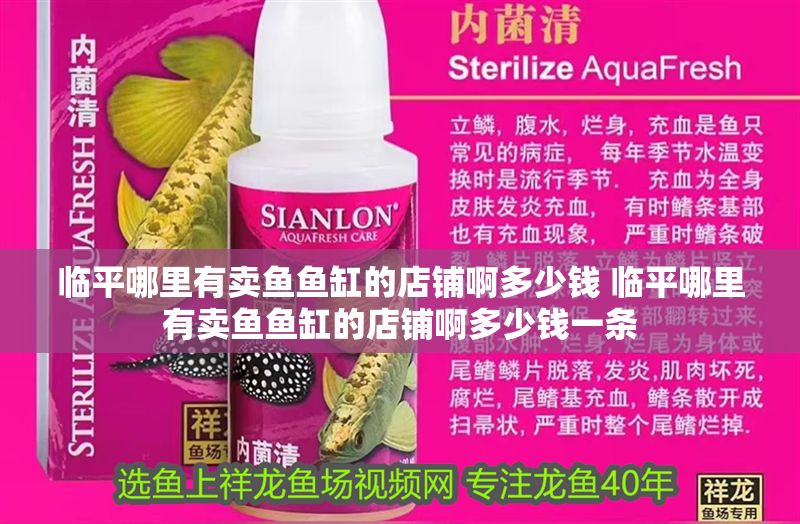 臨平哪里有賣魚魚缸的店鋪啊多少錢 臨平哪里有賣魚魚缸的店鋪啊多少錢一條