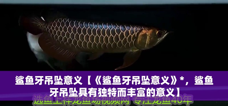 鯊魚(yú)牙吊墜意義【《鯊魚(yú)牙吊墜意義》*，鯊魚(yú)牙吊墜具有獨(dú)特而豐富的意義】