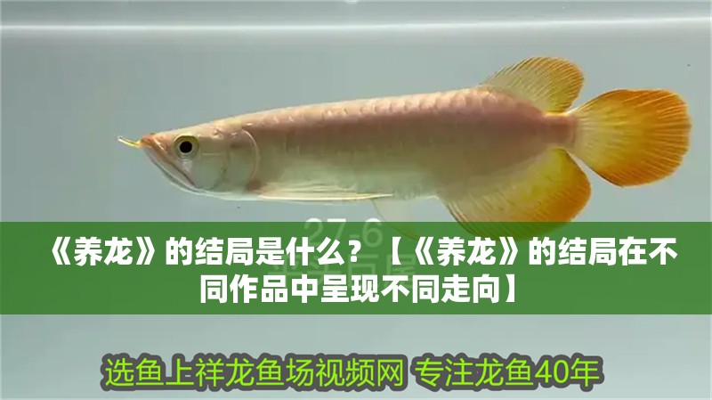 《養龍》的結局是什么？【《養龍》的結局在不同作品中呈現不同走向】