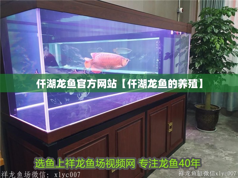 仟湖龍魚官方網站【仟湖龍魚的養殖】