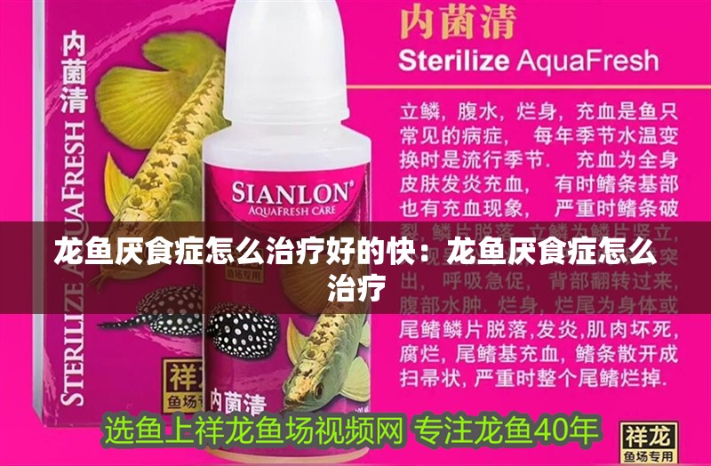 龍魚厭食癥怎么治療好的快：龍魚厭食癥怎么治療