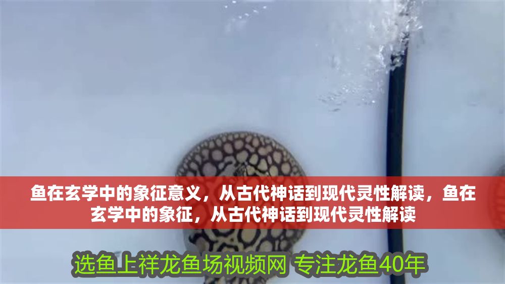 魚在玄學中的象征意義，從古代神話到現代靈性解讀，魚在玄學中的象征，從古代神話到現代靈性解讀