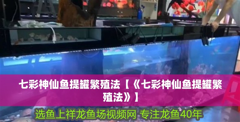 七彩神仙魚提罐繁殖法【《七彩神仙魚提罐繁殖法》】