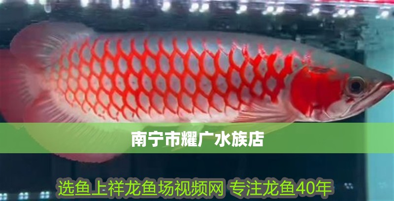 南寧市耀廣水族店