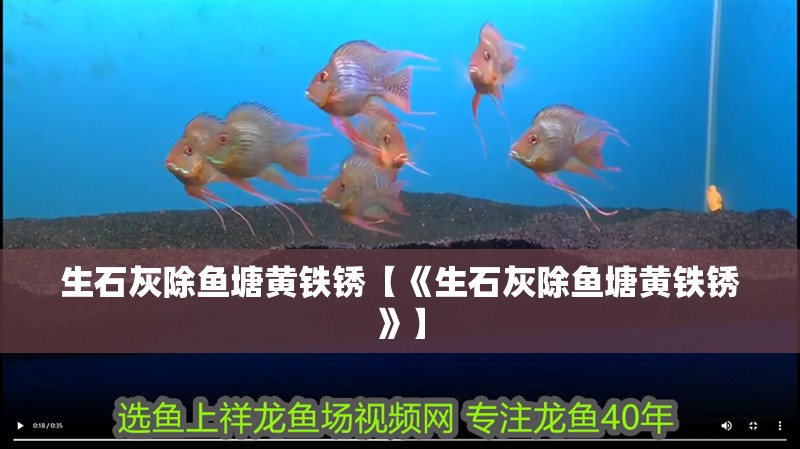 生石灰除魚塘黃鐵銹【《生石灰除魚塘黃鐵銹》】