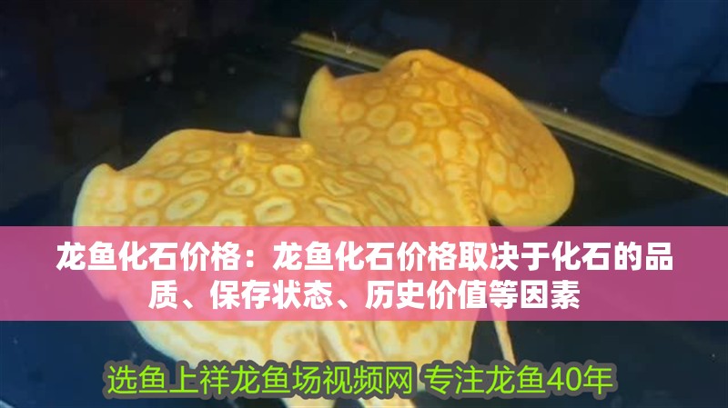 龍魚化石價格：龍魚化石價格取決于化石的品質、保存狀態、歷史價值等因素