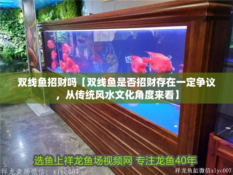 雙線魚招財嗎【雙線魚是否招財存在一定爭議，從傳統風水文化角度來看】