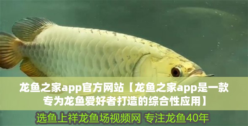 龍魚之家app官方網(wǎng)站【龍魚之家app是一款專為龍魚愛好者打造的綜合性應(yīng)用】