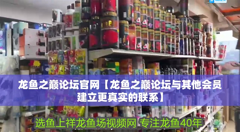 龍魚之巔論壇官網【龍魚之巔論壇與其他會員建立更真實的聯系】