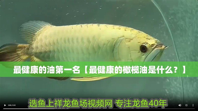 最健康的油第一名【最健康的橄欖油是什么？】