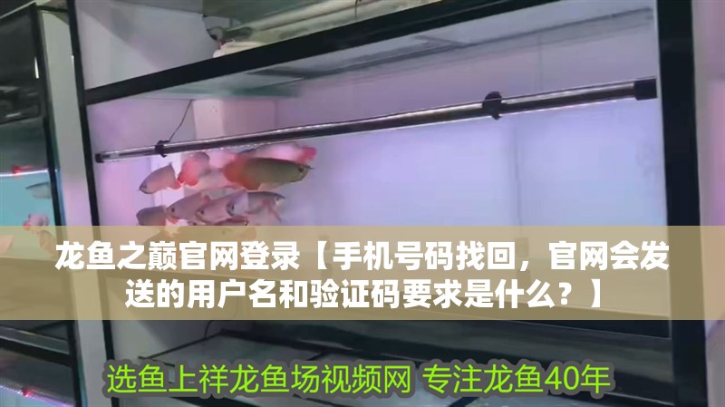 龍魚之巔官網登錄【手機號碼找回，官網會發送的用戶名和驗證碼要求是什么？】