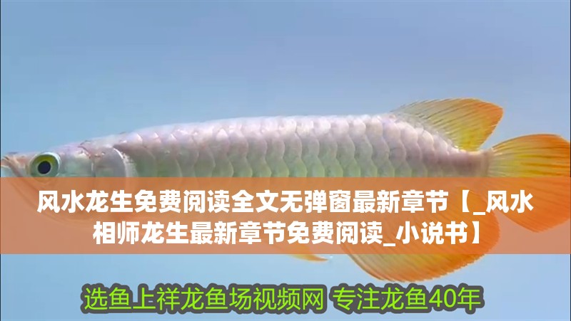 風水龍生免費閱讀全文無彈窗最新章節【_風水相師龍生最新章節免費閱讀_小說書】