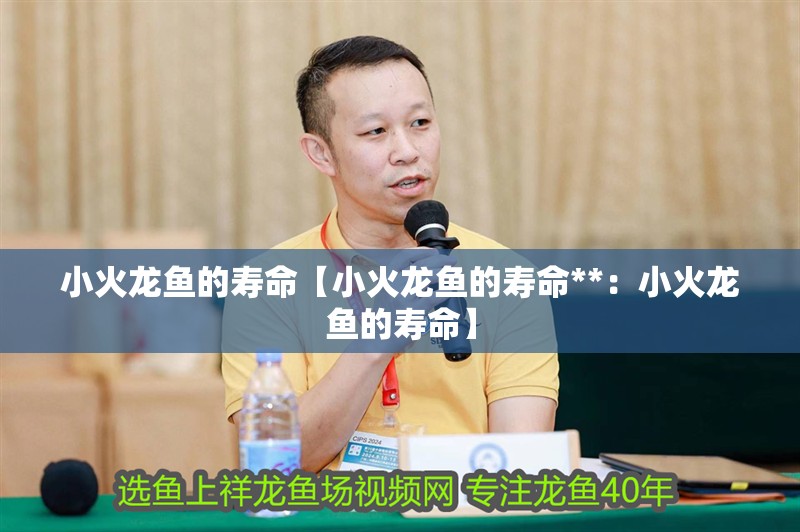 小火龍魚的壽命【小火龍魚的壽命**：小火龍魚的壽命】