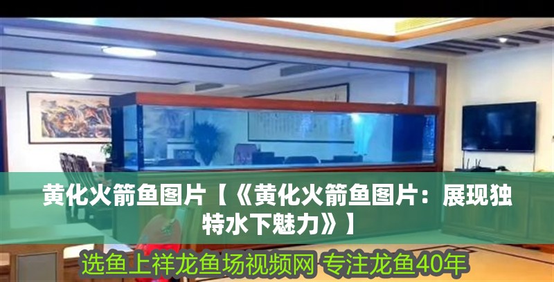 黃化火箭魚圖片【《黃化火箭魚圖片：展現獨特水下魅力》】