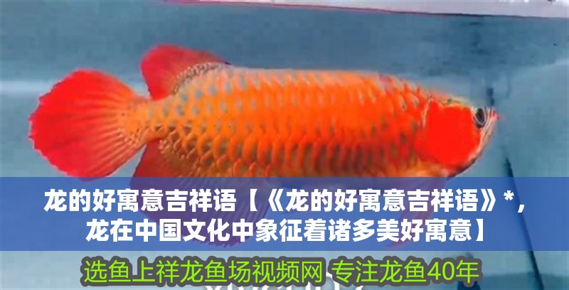 龍的好寓意吉祥語【《龍的好寓意吉祥語》*，龍在中國文化中象征著諸多美好寓意】