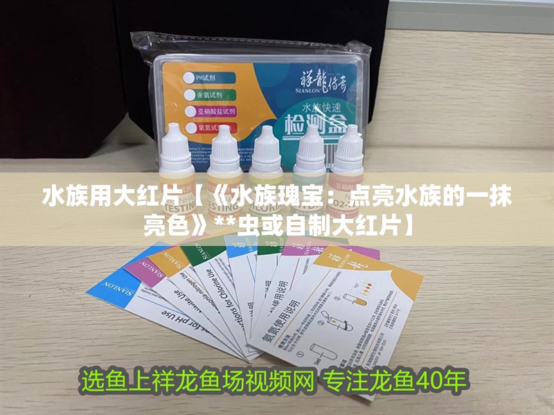 水族用大紅片【《水族瑰寶：點亮水族的一抹亮色》**蟲或自制大紅片】