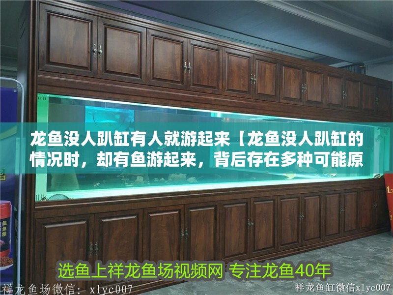 龍魚沒人趴缸有人就游起來【龍魚沒人趴缸的情況時(shí)，卻有魚游起來，背后存在多種可能原因】