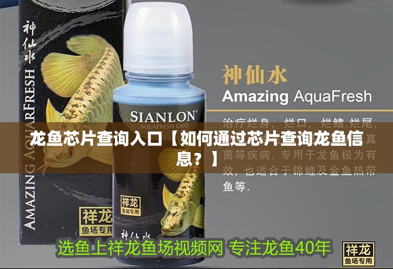 龍魚芯片查詢入口【如何通過芯片查詢龍魚信息？】