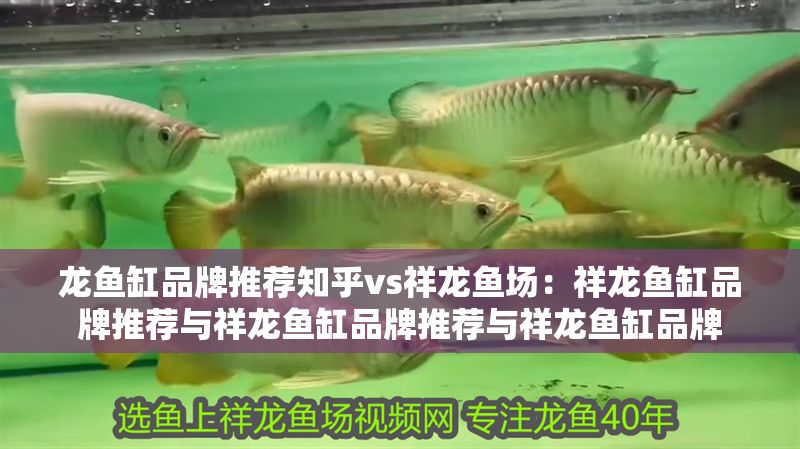 龍魚缸品牌推薦知乎vs祥龍魚場：祥龍魚缸品牌推薦與祥龍魚缸品牌推薦與祥龍魚缸品牌
