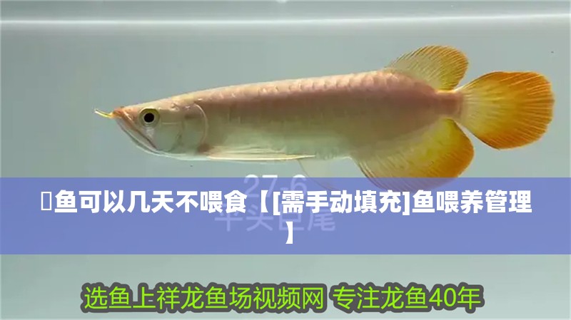 魟魚可以幾天不喂食【[需手動填充]魚喂養管理】