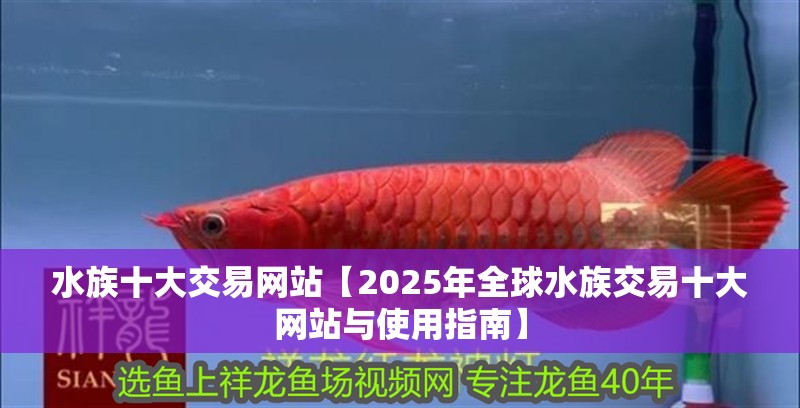 詳細閱讀:水族十大交易網站【2025年全球水族交易十大網站與使用指南】 水族十大交易網站【2025年全球水族交易十大網站與使用指南】