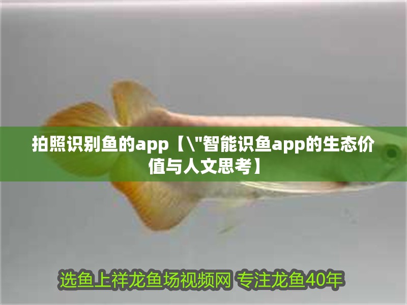 拍照識別魚的app【\