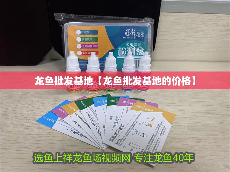 龍魚批發基地【龍魚批發基地的價格】