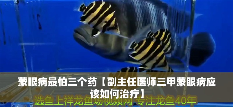 蒙眼病最怕三個藥【副主任醫師三甲蒙眼病應該如何治療】