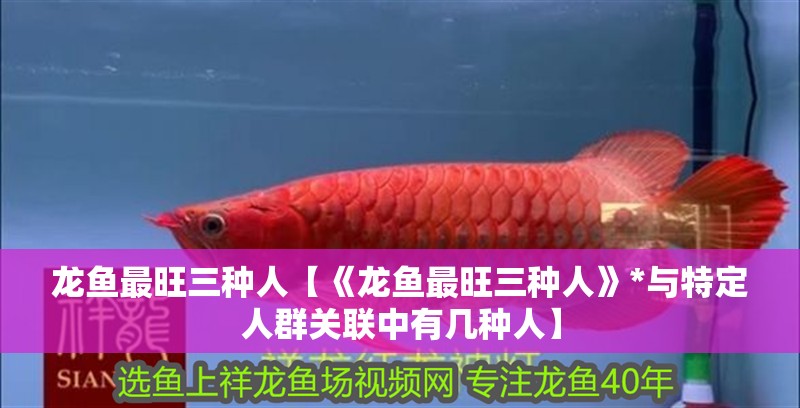 龍魚(yú)最旺三種人【《龍魚(yú)最旺三種人》*與特定人群關(guān)聯(lián)中有幾種人】