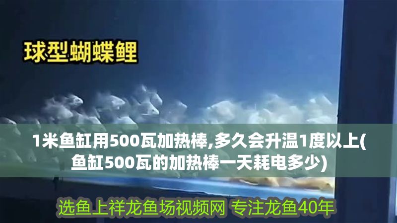 1米魚缸用500瓦加熱棒,多久會(huì)升溫1度以上(魚缸500瓦的加熱棒一天耗電多少)