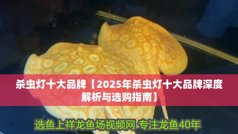 殺蟲燈十大品牌【2025年殺蟲燈十大品牌深度解析與選購指南】 殺蟲燈十大品牌【2025年殺蟲燈十大品牌深度解析與選購指南】 龍魚論壇