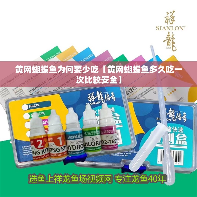 黃網蝴蝶魚為何要少吃【黃網蝴蝶魚多久吃一次比較安全】 黃網蝴蝶魚為何要少吃【黃網蝴蝶魚多久吃一次比較安全】 龍魚論壇