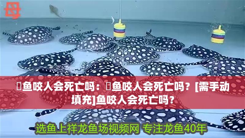 魟魚咬人會死亡嗎：魟魚咬人會死亡嗎？[需手動填充]魚咬人會死亡嗎？