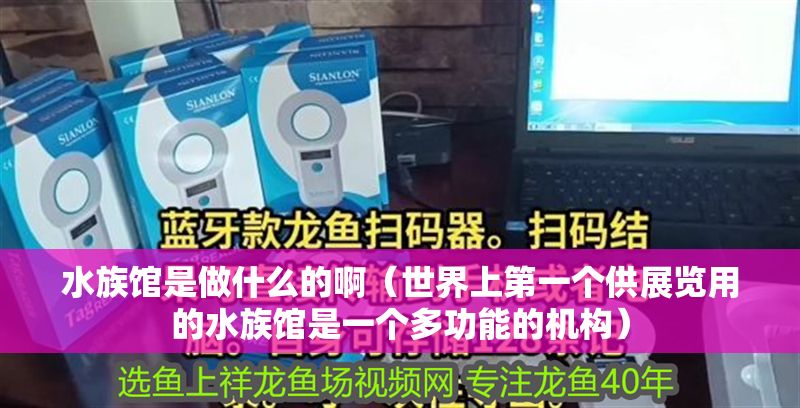 水族館是做什么的啊（世界上第一個供展覽用的水族館是一個多功能的機構）