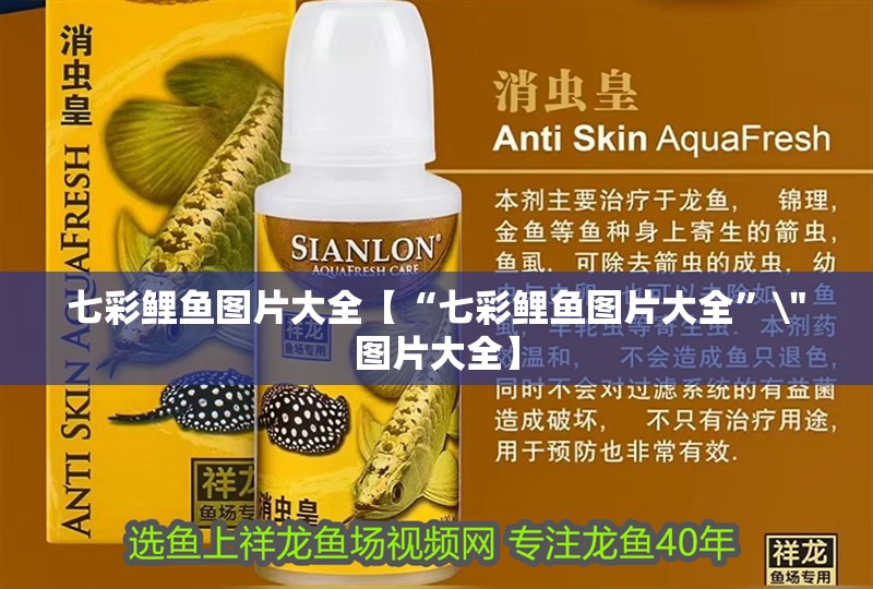 七彩鯉魚圖片大全【“七彩鯉魚圖片大全” 七彩鯉魚圖片大全【“七彩鯉魚圖片大全”\