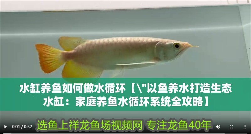 水缸養魚如何做水循環【\