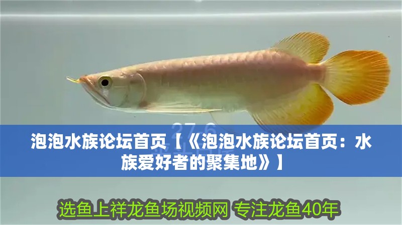 泡泡水族論壇首頁【《泡泡水族論壇首頁：水族愛好者的聚集地》】