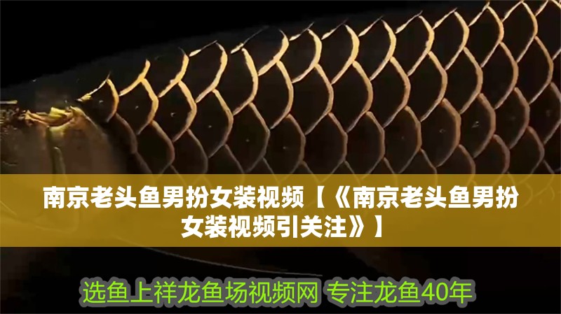 <strong><mark>南京</mark></strong>老頭魚(yú)男扮女裝視頻【《<strong><mark>南京</mark></strong>老頭魚(yú)男扮女裝視頻引關(guān)注》】