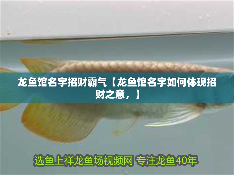 龍魚館名字招財霸氣【龍魚館名字如何體現招財之意，】