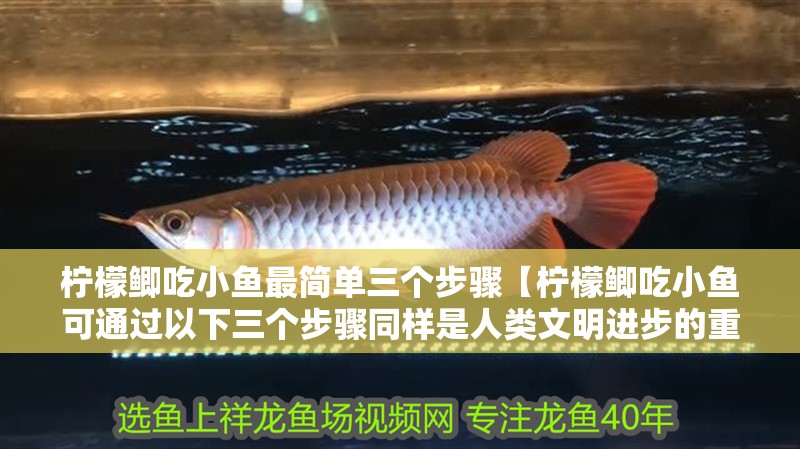 檸檬鯽吃小魚最簡單三個步驟【檸檬鯽吃小魚可通過以下三個步驟同樣是人類文明進(jìn)步的重要性】