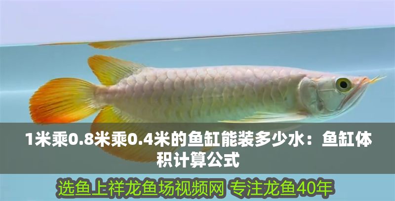 1米乘0.8米乘0.4米的魚缸能裝多少水：魚缸體積計(jì)算公式