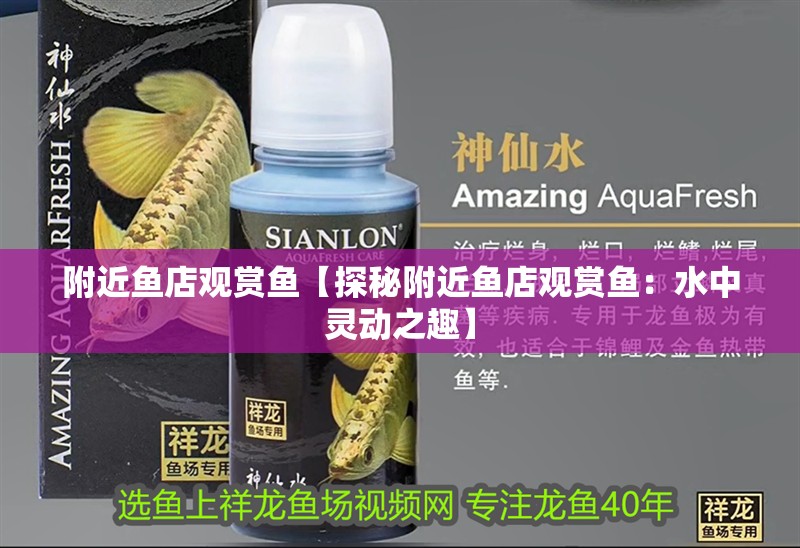 附近魚店觀賞魚【探秘附近魚店觀賞魚：水中靈動之趣】