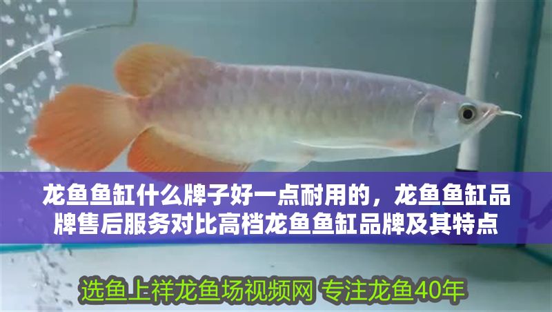 龍魚魚缸什么牌子好一點耐用的，龍魚魚缸品牌售后服務對比高檔龍魚魚缸品牌及其特點