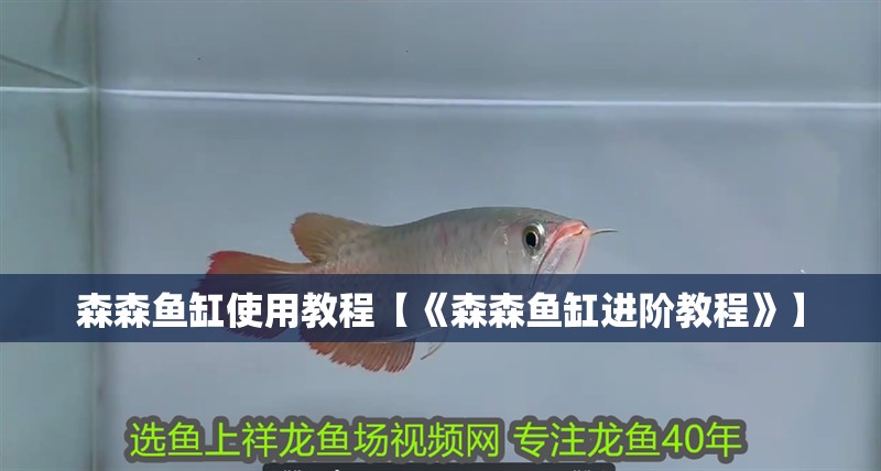 森森魚缸使用教程【《森森魚缸進階教程》】
