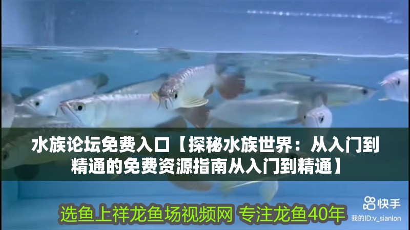 水族論壇免費入口【探秘水族世界：從入門到精通的免費資源指南從入門到精通】