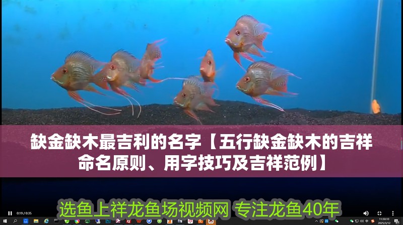 缺金缺木最吉利的名字【五行缺金缺木的吉祥命名原則、用字技巧及吉祥范例】