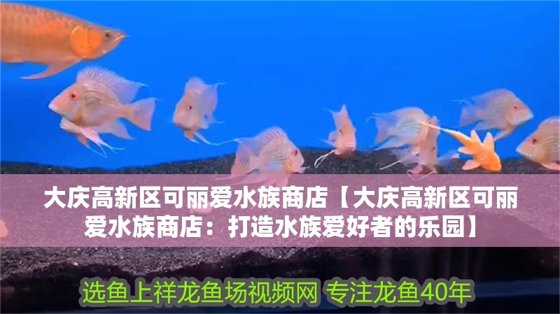 大慶高新區可麗愛水族商店【大慶高新區可麗愛水族商店：打造水族愛好者的樂園】